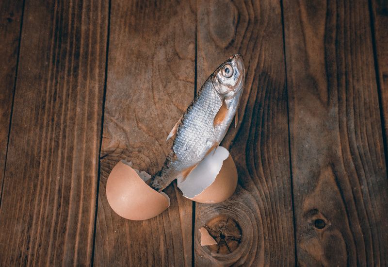 Рождение/Birth фото превью