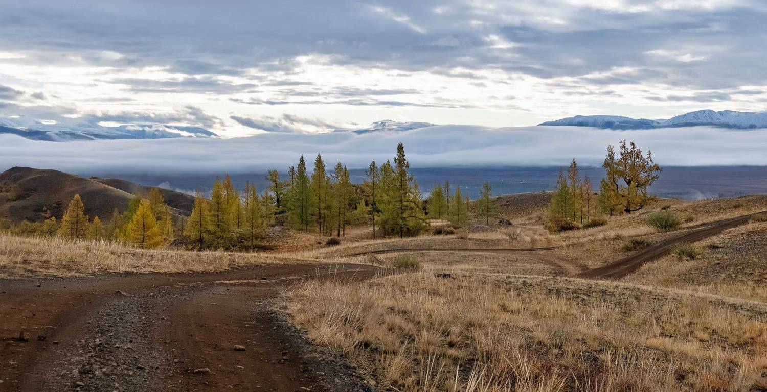 алтай, дорога, туман, северо-чуйский хребет, Фомина Марина
