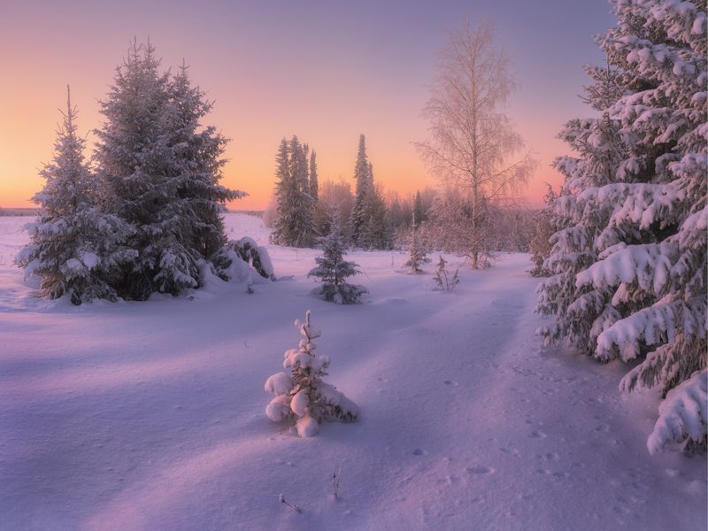 Морозные сумерки фото превью