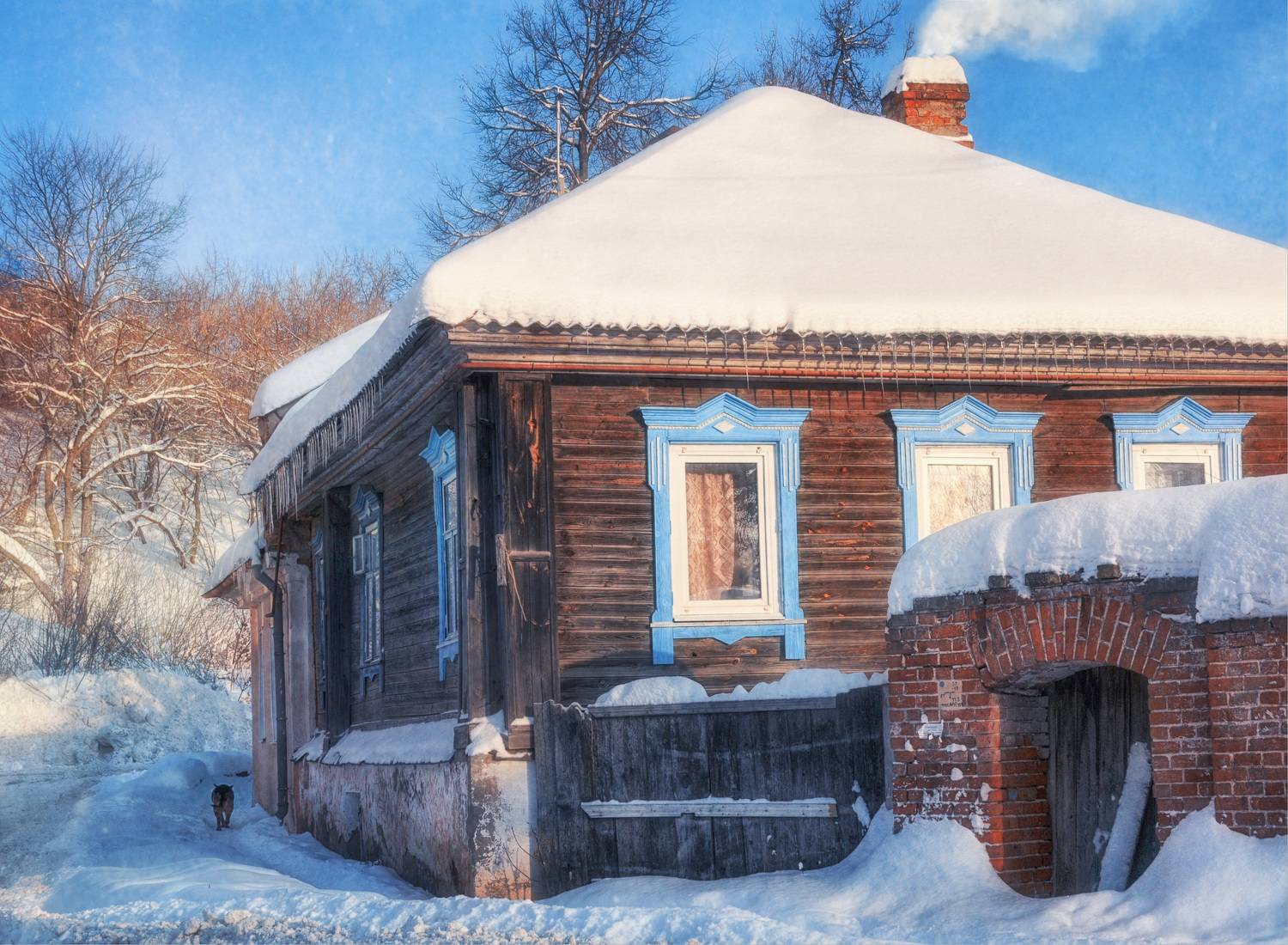 дом собака труба дым, Вера Петри