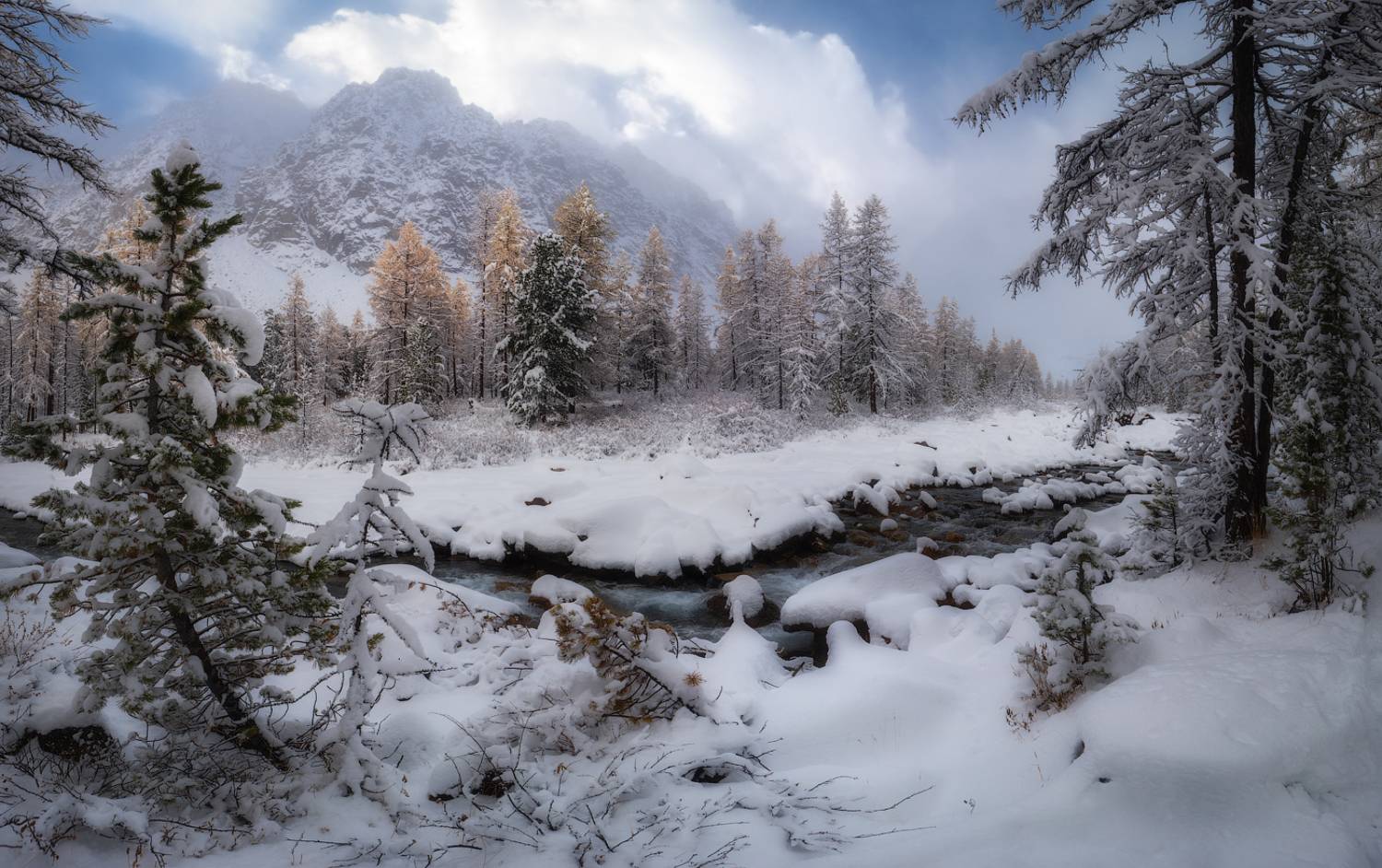 алтай, горный алтай, пейзажи алтая, кош-агачский район, горная река, золотая осень, горы, осенний алтай, горная тайга, актру, купол, альплагерь актру, ущелье актру, первый снег,, Рубан Алена