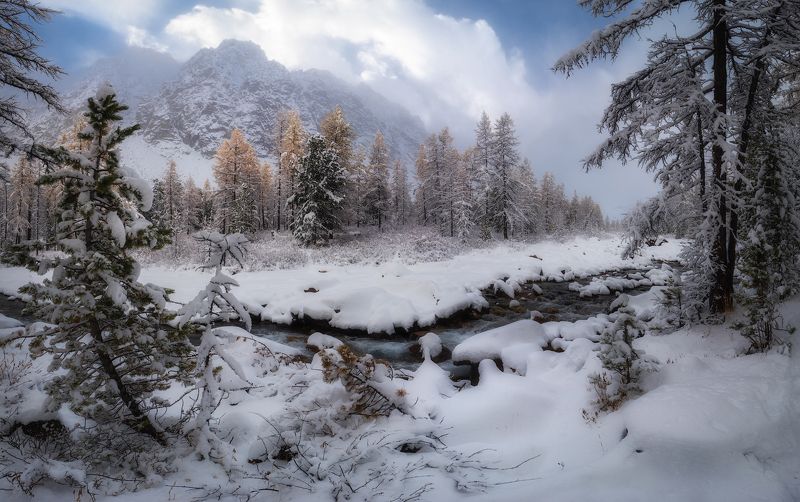алтай, горный алтай, пейзажи алтая, кош-агачский район, горная река, золотая осень, горы, осенний алтай, горная тайга, актру, купол, альплагерь актру, ущелье актру, первый снег, Зима в октябре фото превью