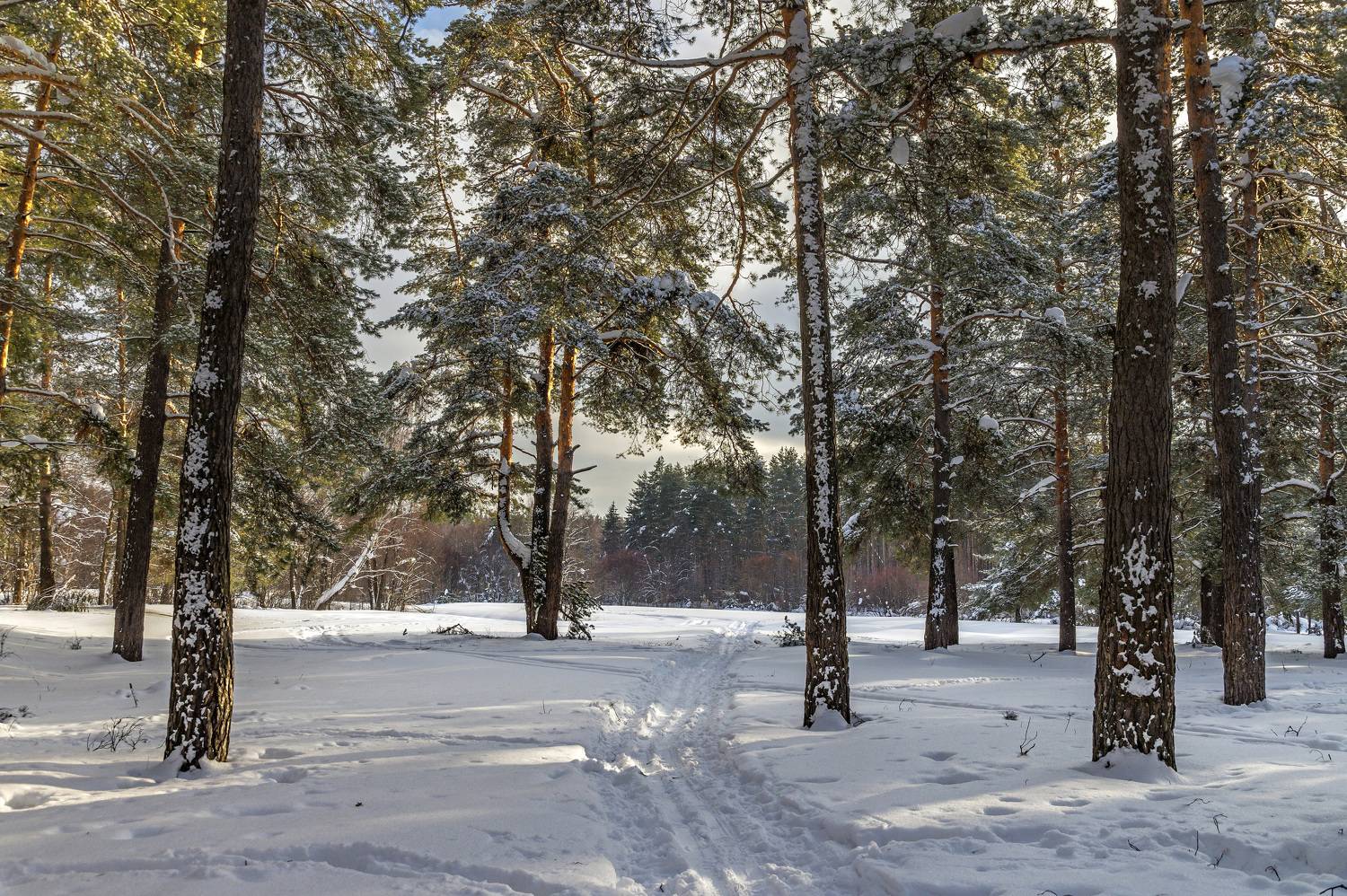 , Шитов Александр
