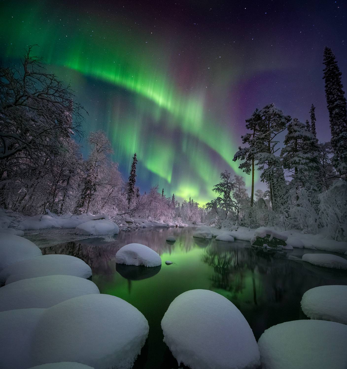 , Елена Ермолина