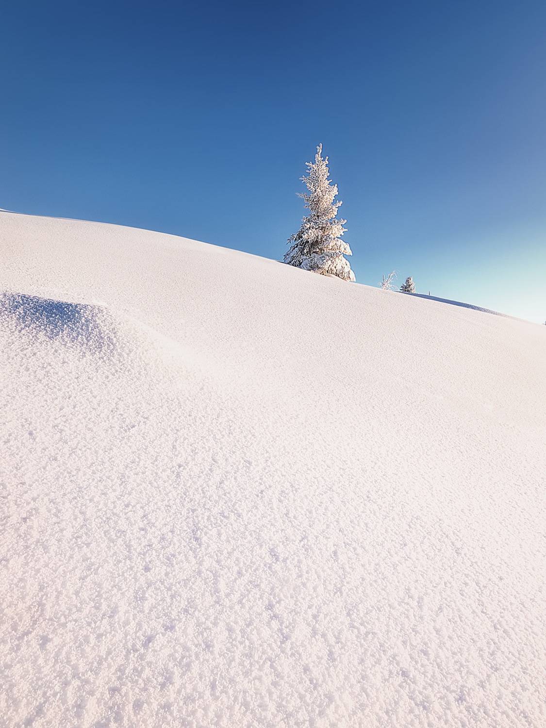 , Антон Кошетаров