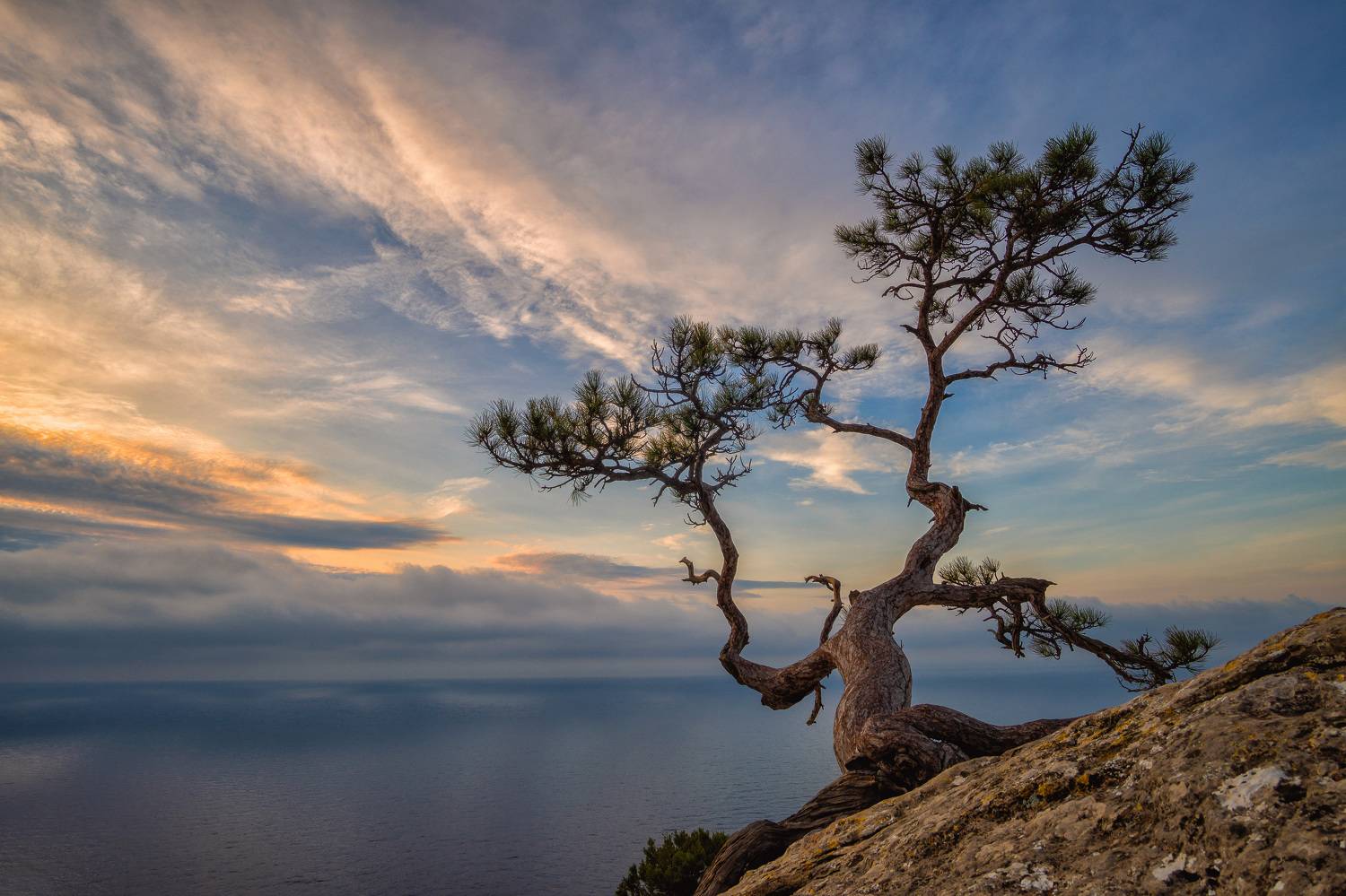 , Кривцов Андрей