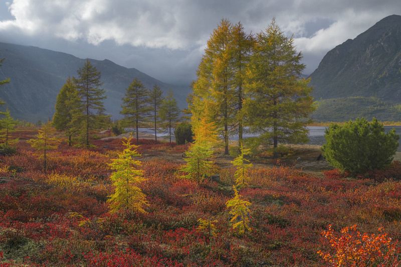 На Пурге. фото превью