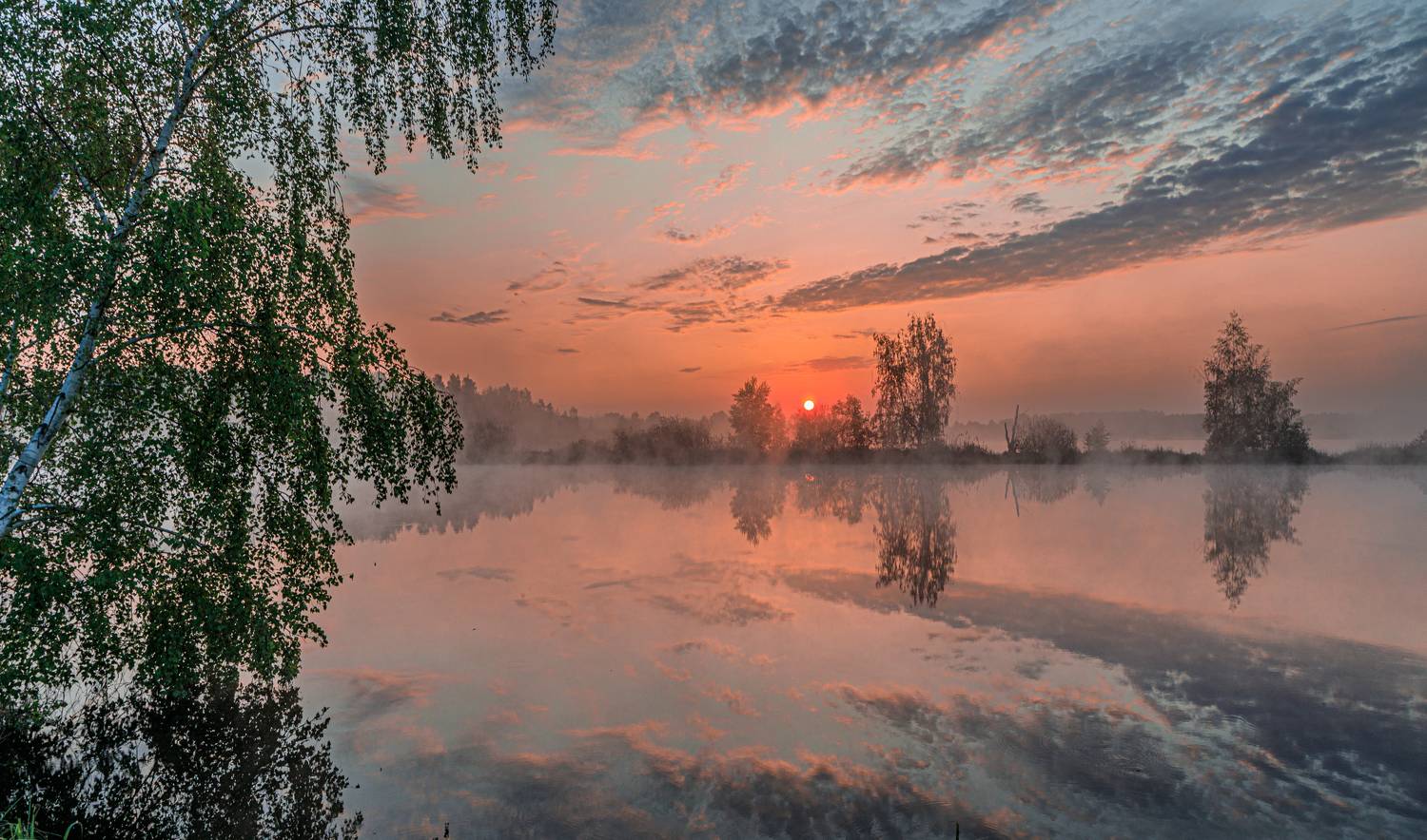, Евгений Патрешов