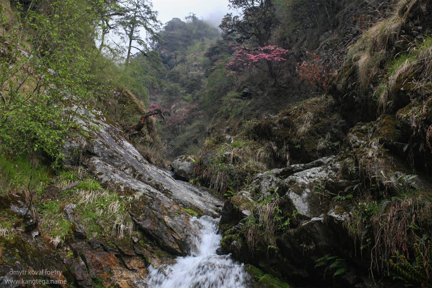 пейзажемагьё, пейзаж-как-виденье, Коваль Дмитр