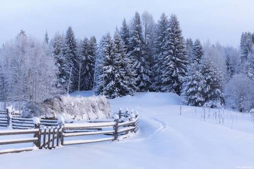 Морозный вечер в Деревянске
