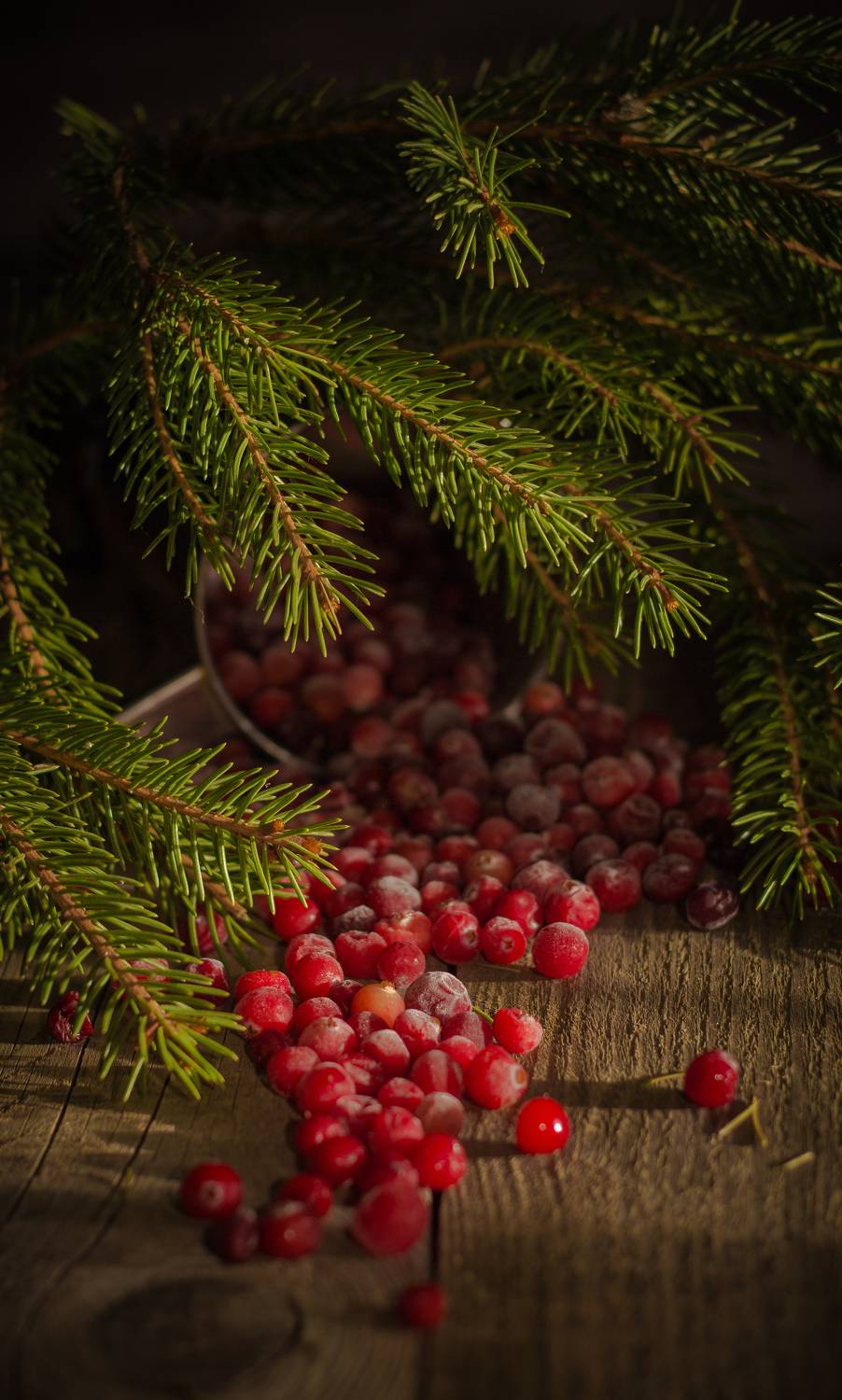 , Хвойнова Елена