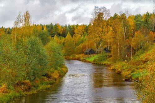 Вепский лес
