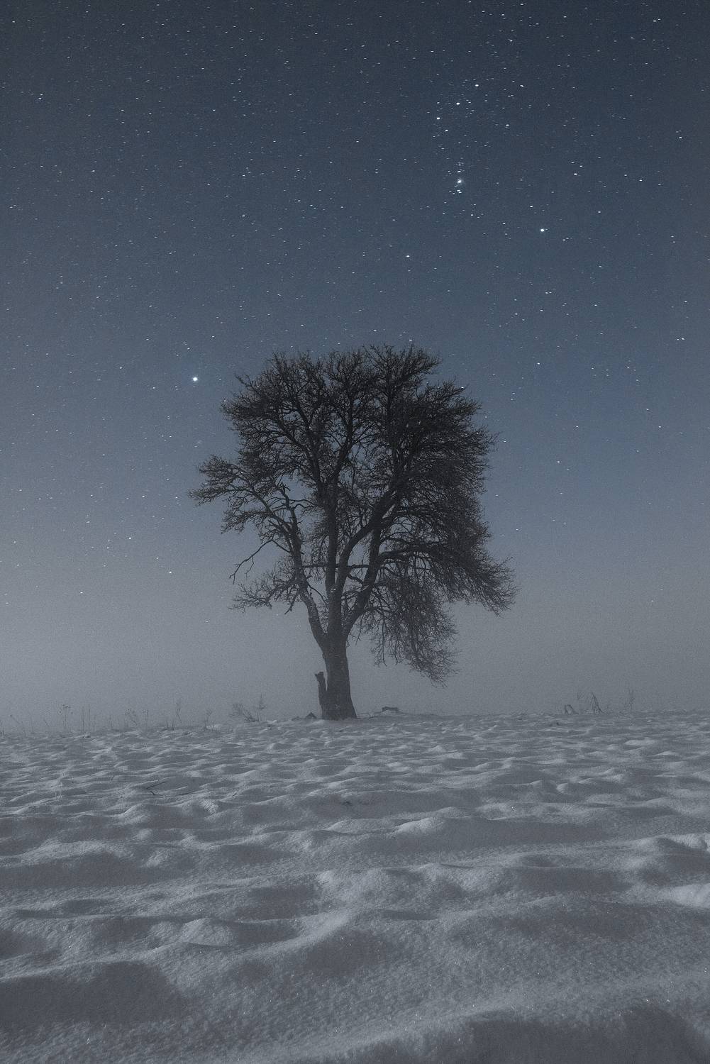 , Захаров Дмитрий