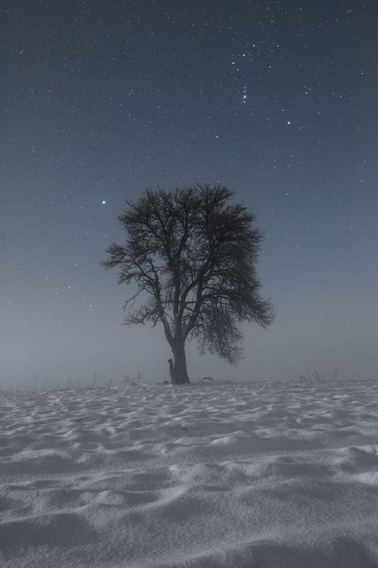В зимнюю ночь фото превью