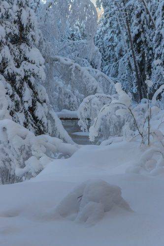 Утопая в снегах