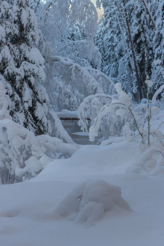 мороз, снег, иней, лес, река, лед, сугроб Утопая в снегах фото превью