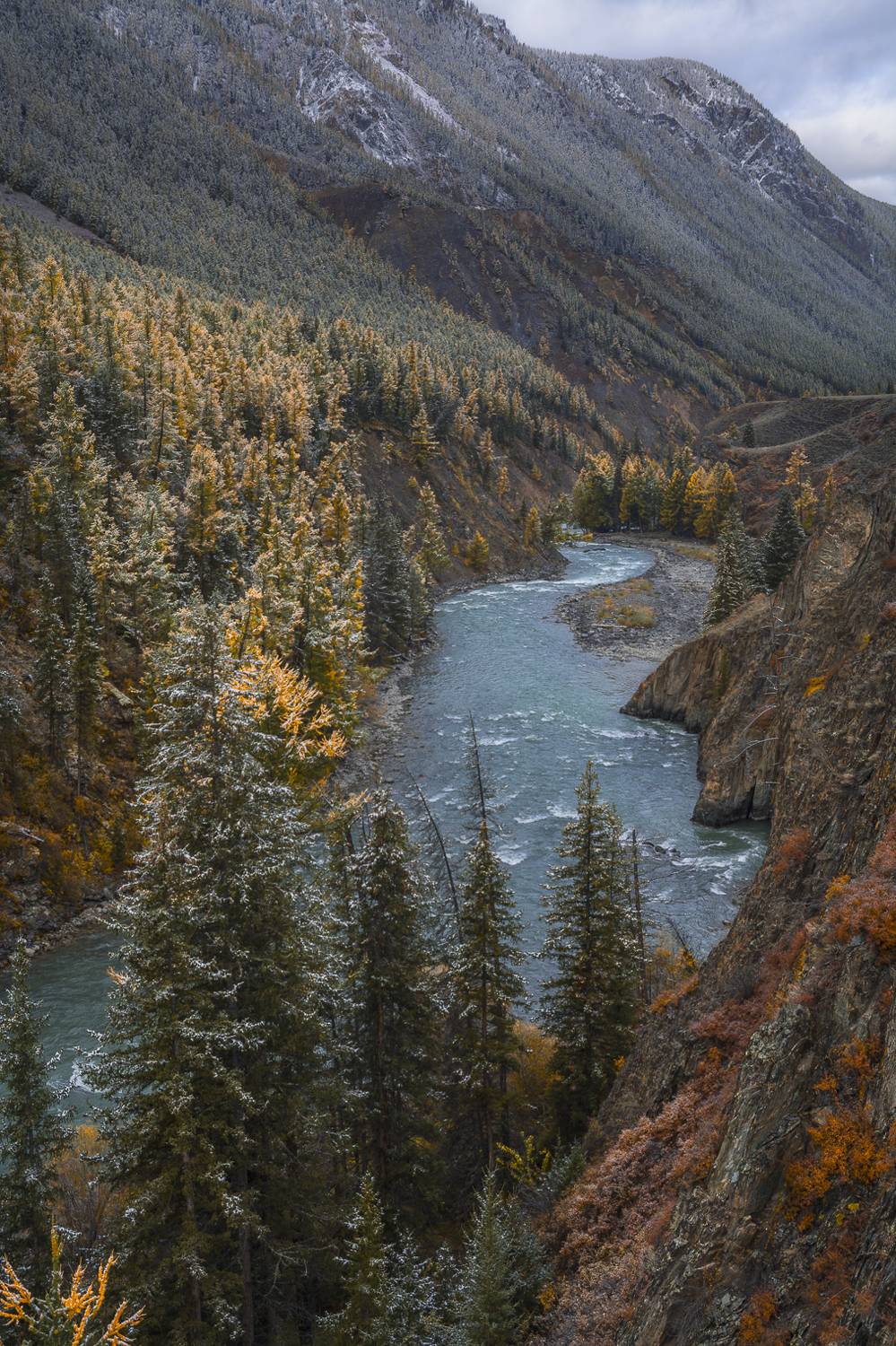 россия, горный алтай, река чуя, осень, утро, Андрей Поляков