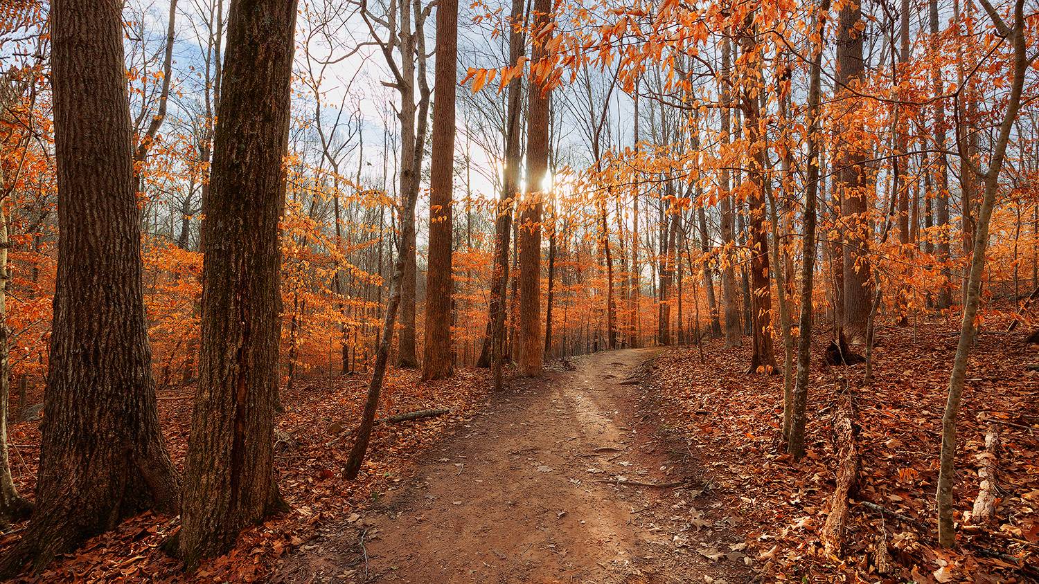 , Леонид Дьяченко