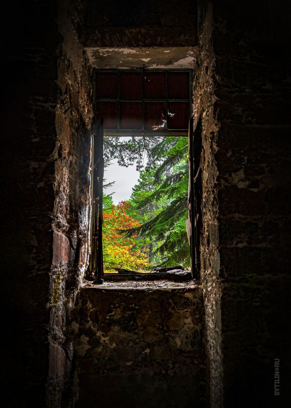 беренгария, отель, кипр, вид, осень, окно, старый, камень, замок, заброшенный, пейзаж, лес Окно в осень фото превью