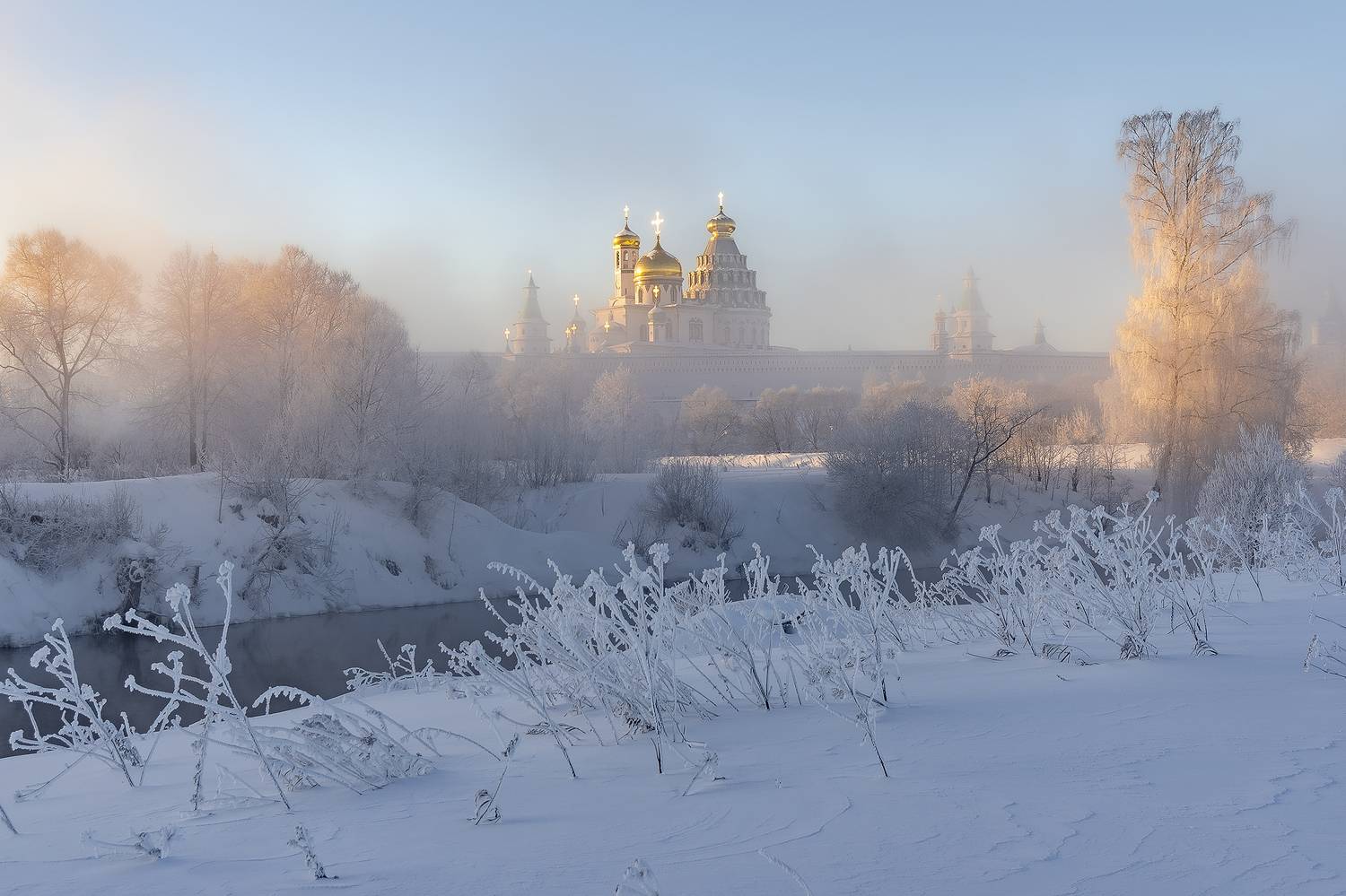 , Добродий Михаил