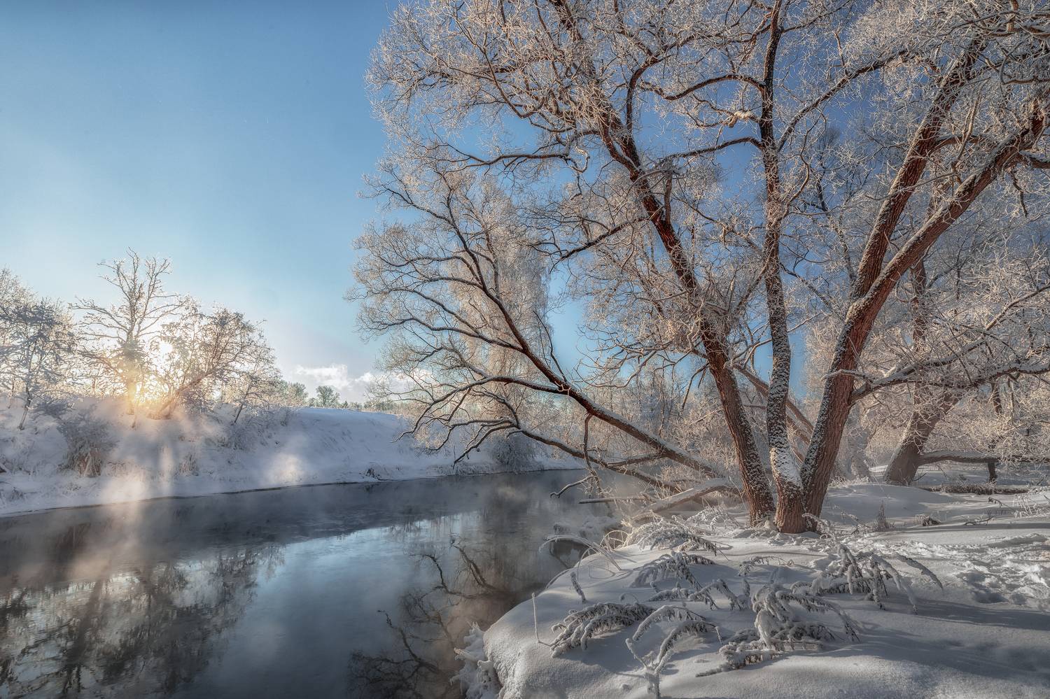 истра, Елена Гусева