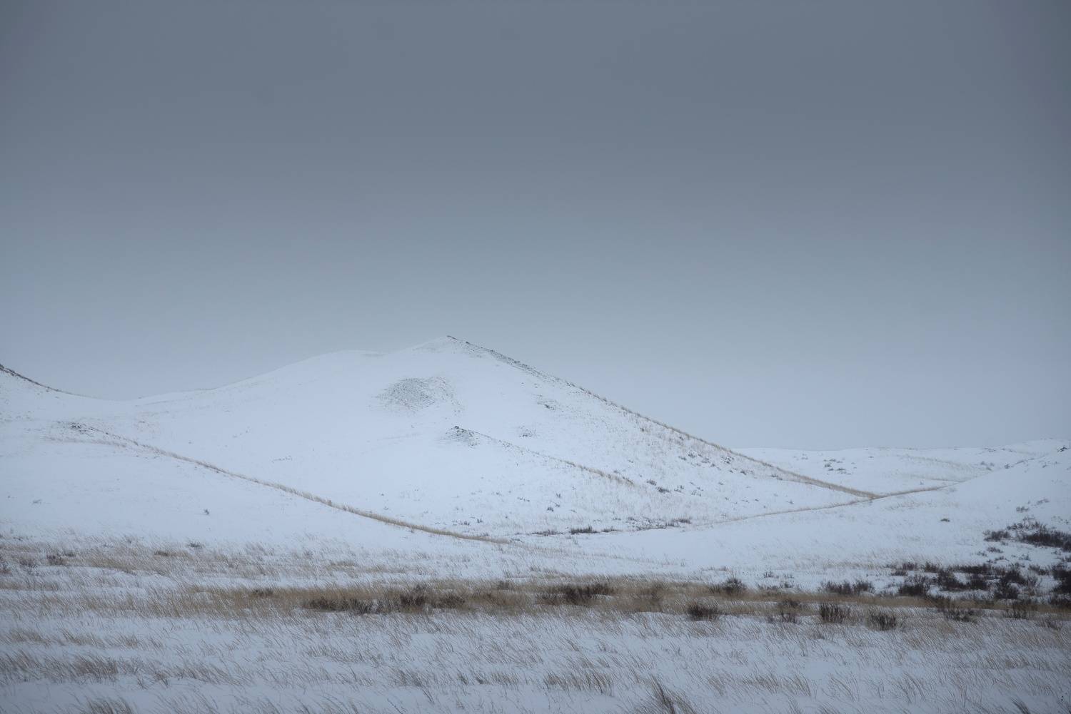 , Антонов Антон