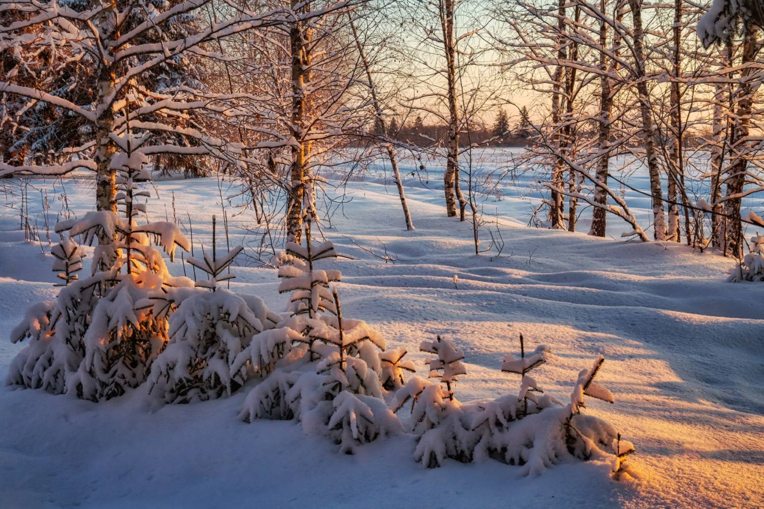 *, Евгений Ерохин