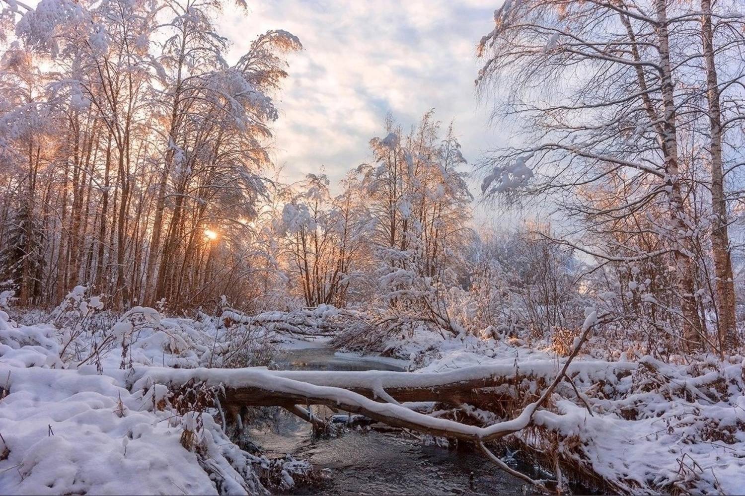 , Петр Косых