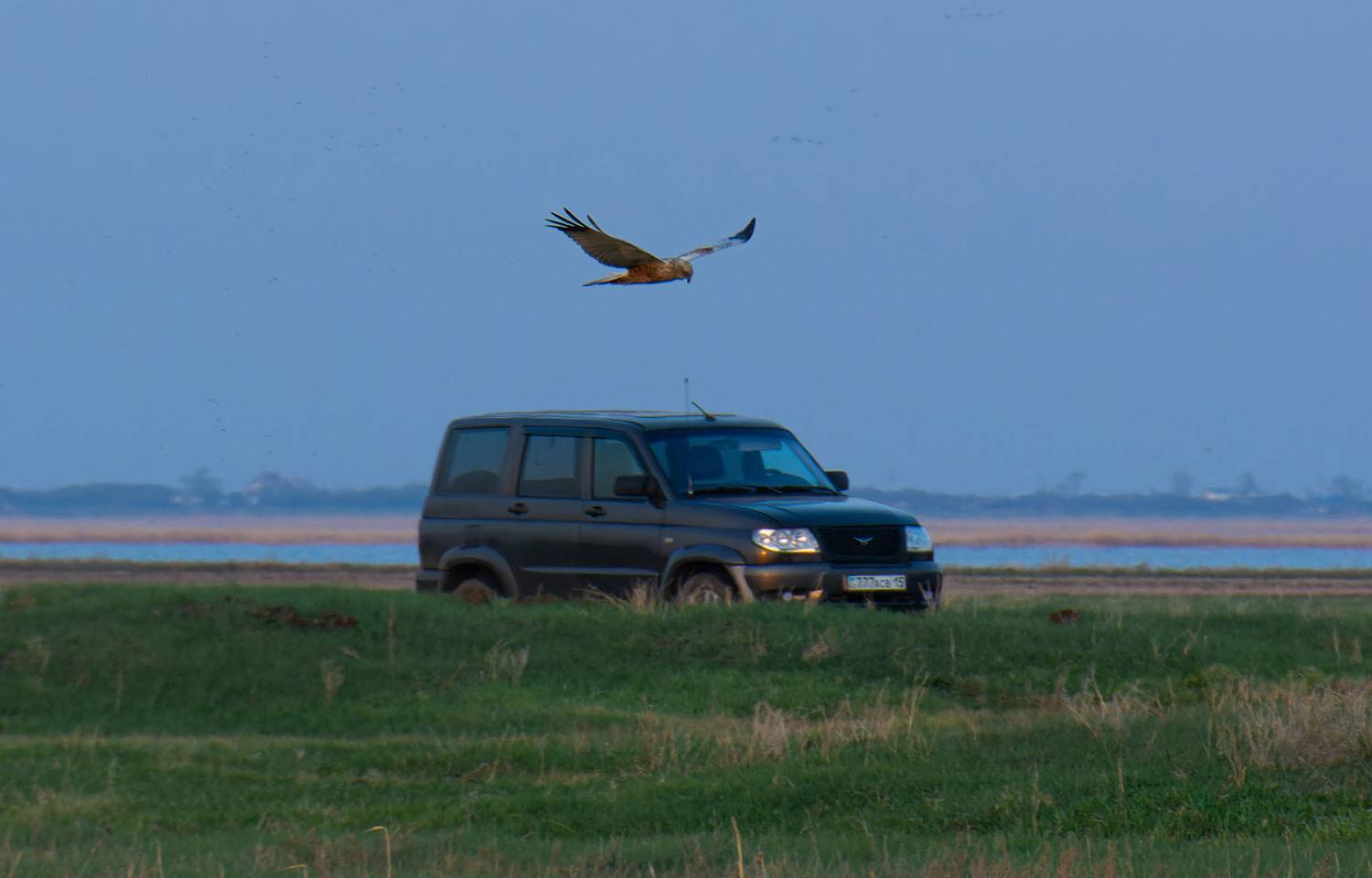 , Савенко Кирилл