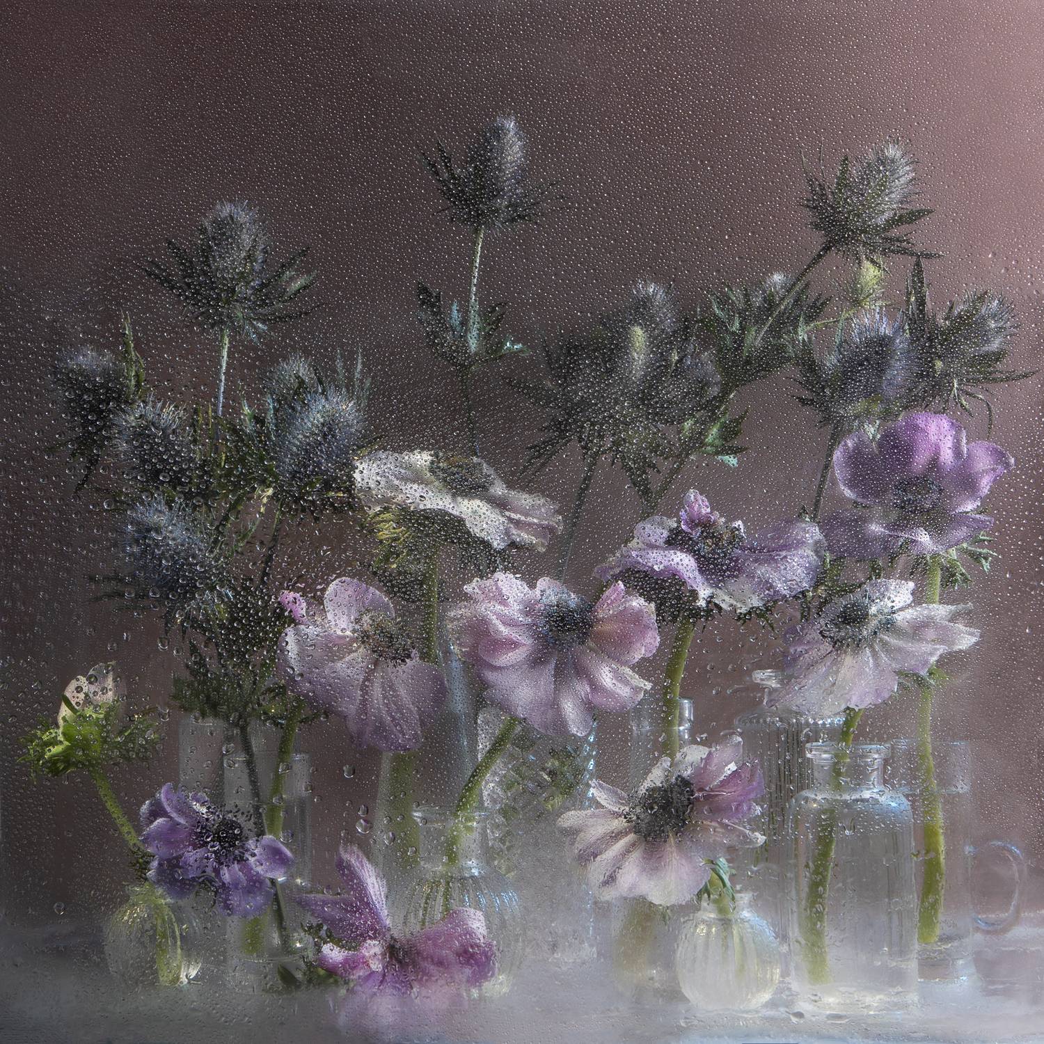 анемоны, колючки, букет, составление букета, натюрморт, банки, стеклянная посуда, стекло, брызги, за стеклом, сиреневый,, Kostomarova Alla
