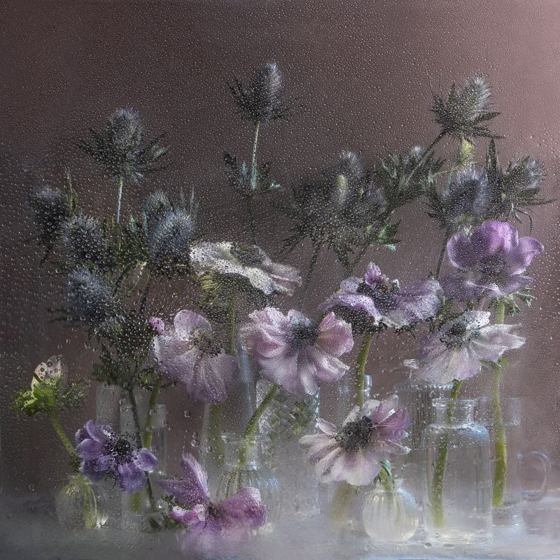 анемоны, колючки, букет, составление букета, натюрморт, банки, стеклянная посуда, стекло, брызги, за стеклом, сиреневый, Анемоны и эрингиум. фото превью