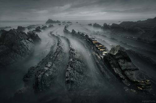 Драконы в природе 2