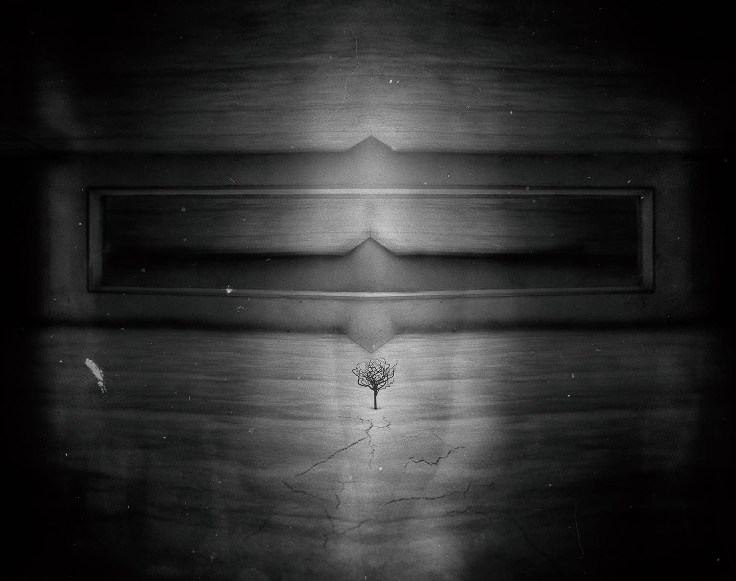 fineart, concept, conceptual, photography, photomontage, photomanipulation, platform, art, darkart, blackandwhite, bnw, Iran, creative, creativity, visionary, Tree, Shervin Khan Mohammadi