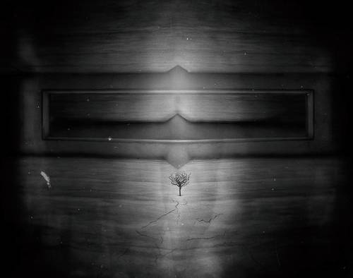 Glitch In Platform 