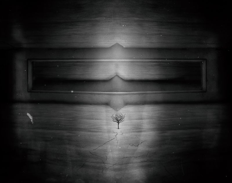 fineart, concept, conceptual, photography, photomontage, photomanipulation, platform, art, darkart, blackandwhite, bnw, Iran, creative, creativity, visionary, Tree Glitch In Platform  фото превью