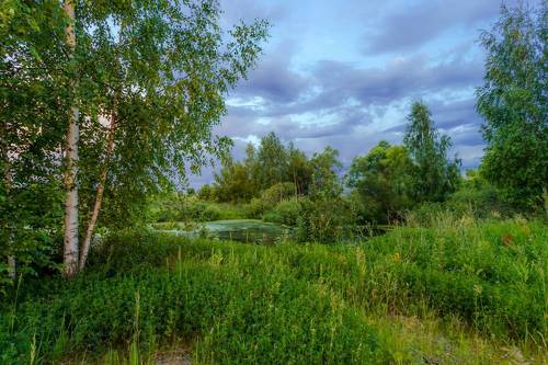 Краски летнего вечера