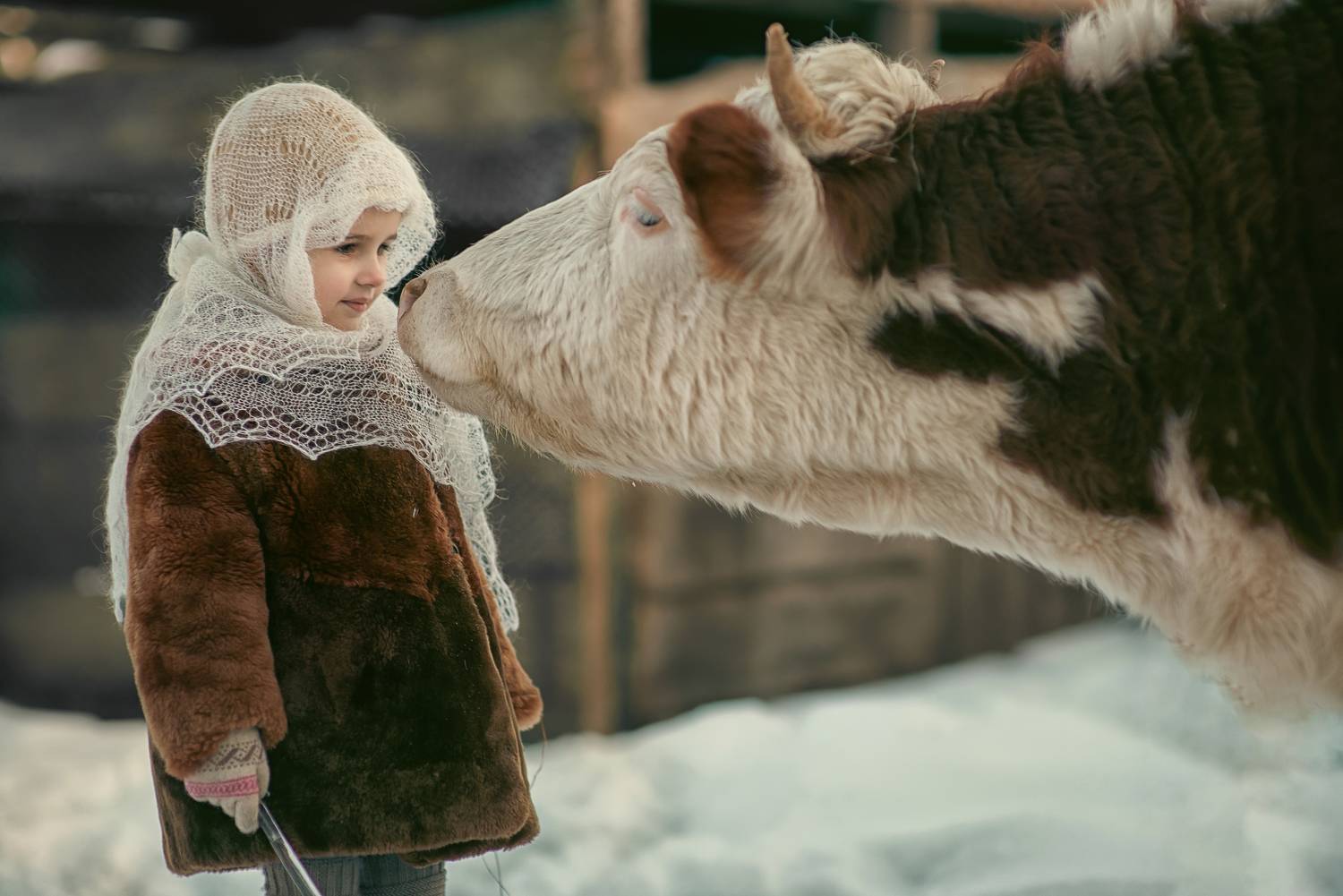 , Раевская Елена