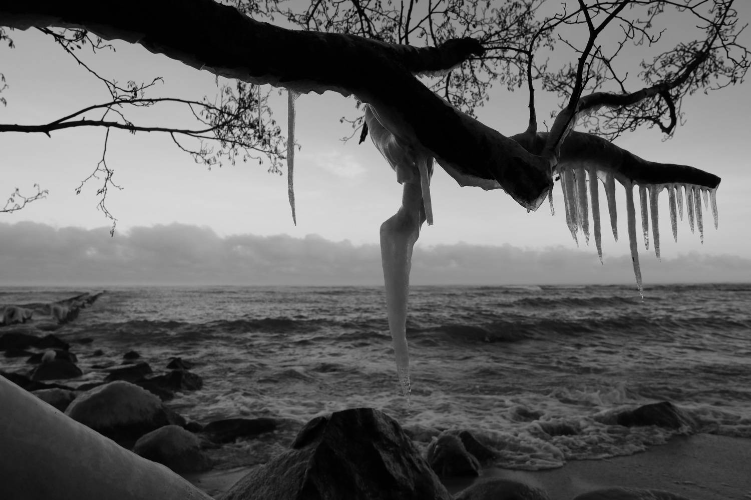 , Колосова Елена