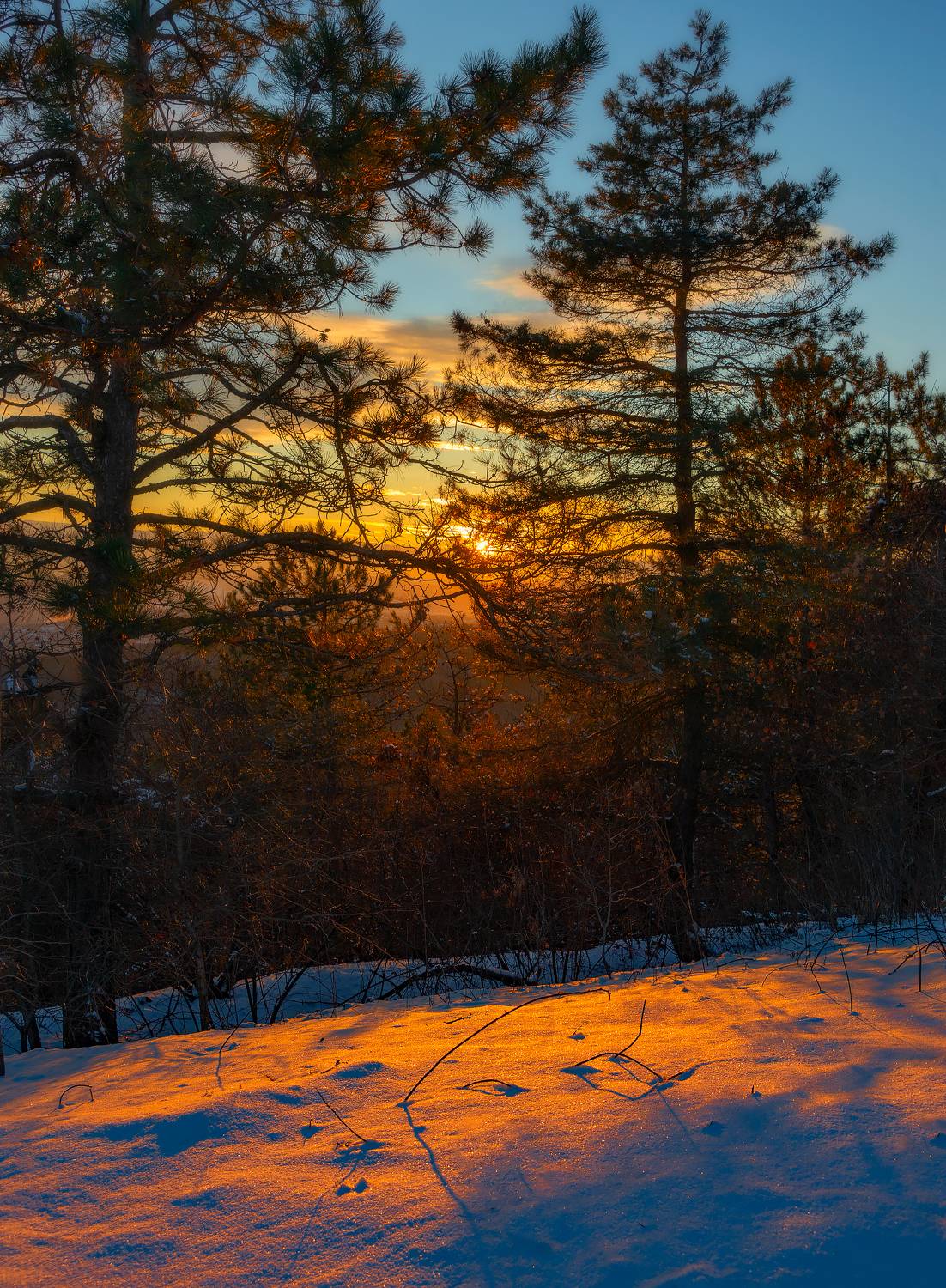 зима,закат,пейзаж, Елена Брежицкая
