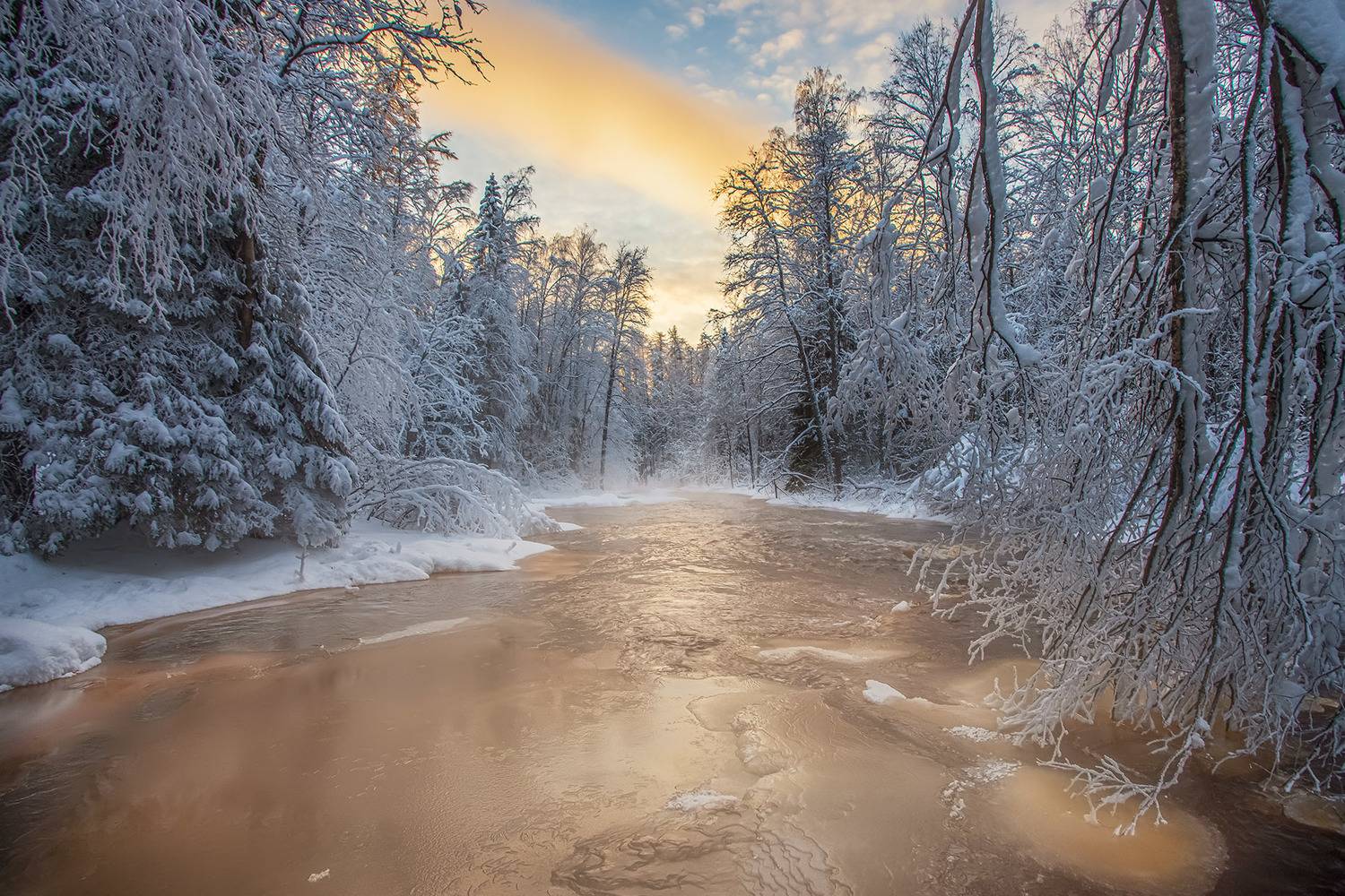 , Елена Маковоз