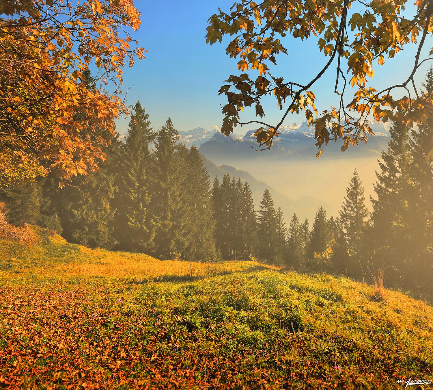swiss,швейцария,горы,осень,rigi, Матвеев Николай