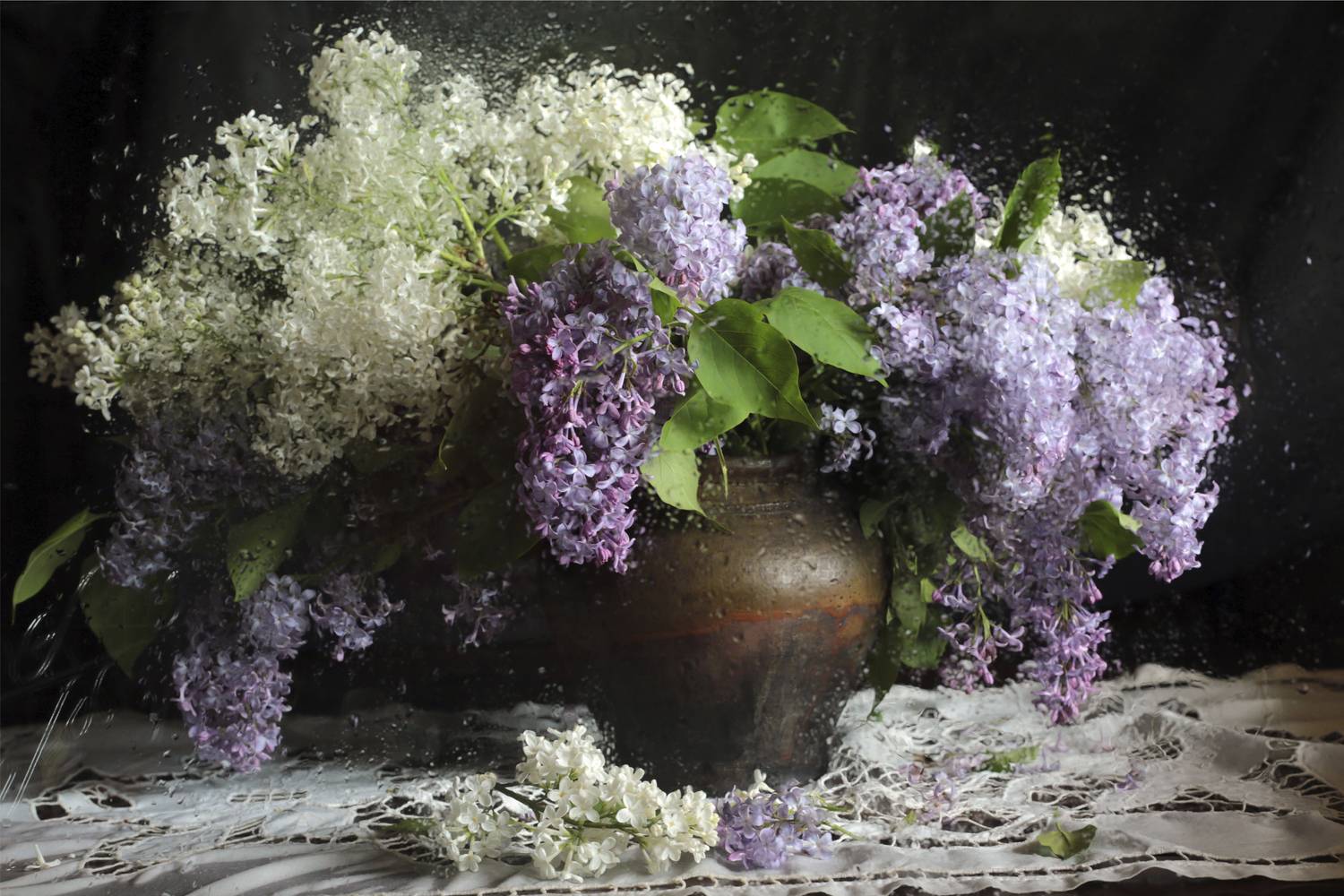 сирень, дождь, настроение, стекло, брызги, лето, canon5d, Гершфельд Алёна