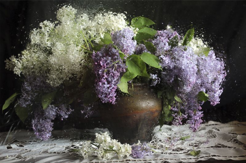 сирень, дождь, настроение, стекло, брызги, лето, canon5d Настроение дождя фото превью