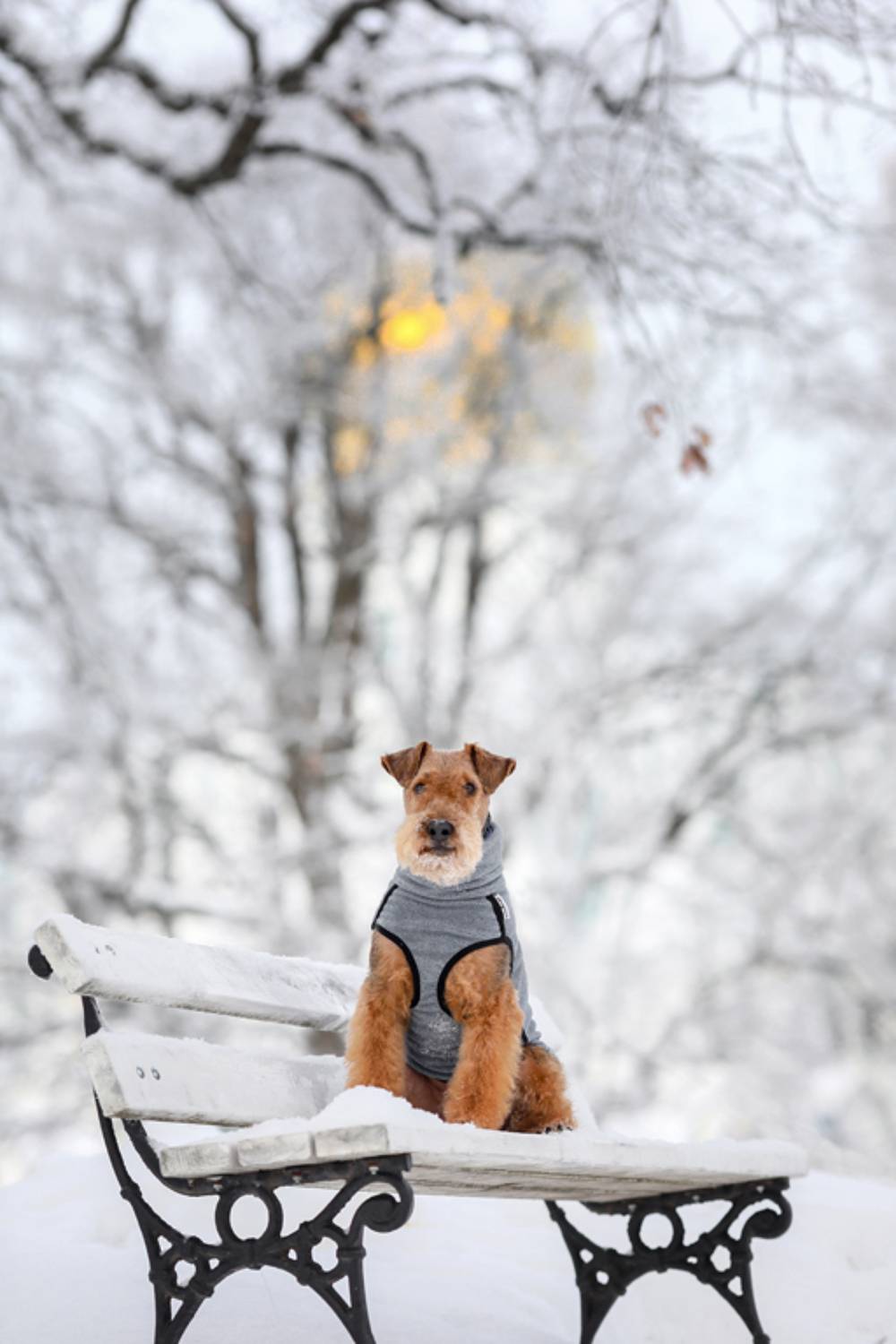 , Андрей Ершов