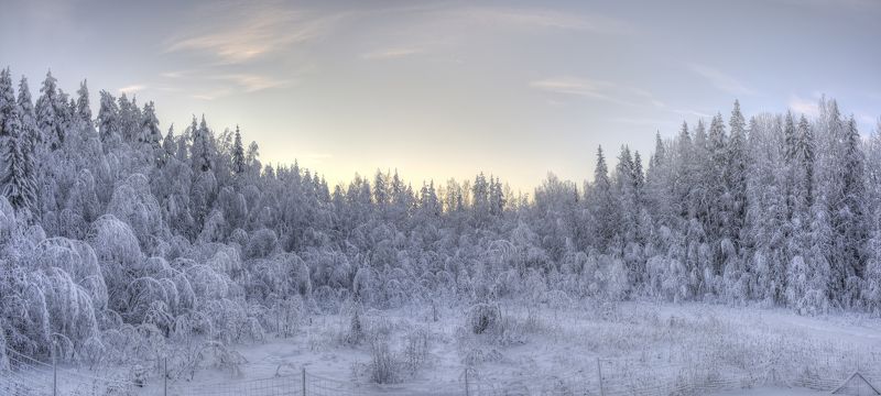 На рассвете головы склоняя :) фото превью