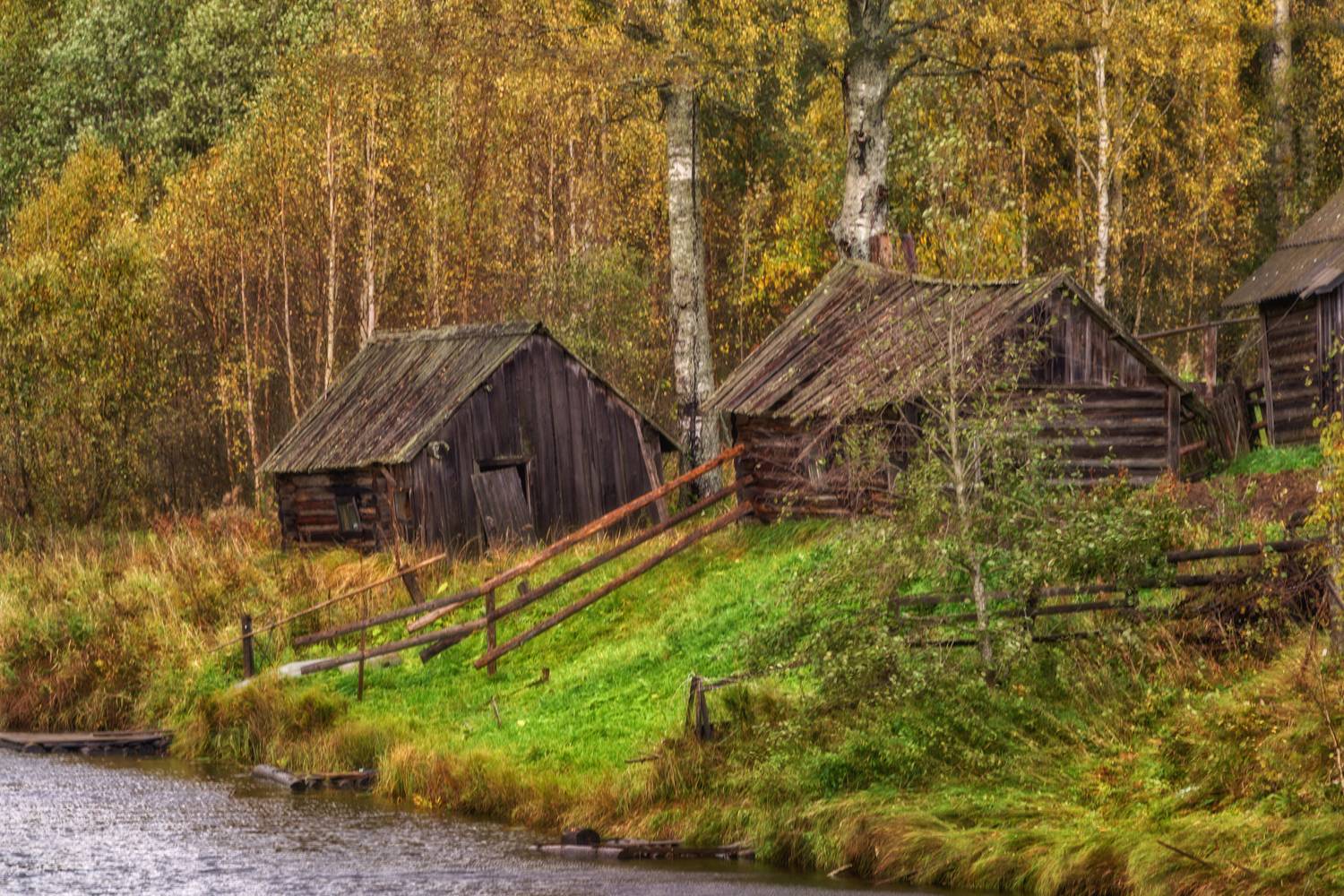 Россия, Вепский лес, пейзаж, деревня, Лариса Дука