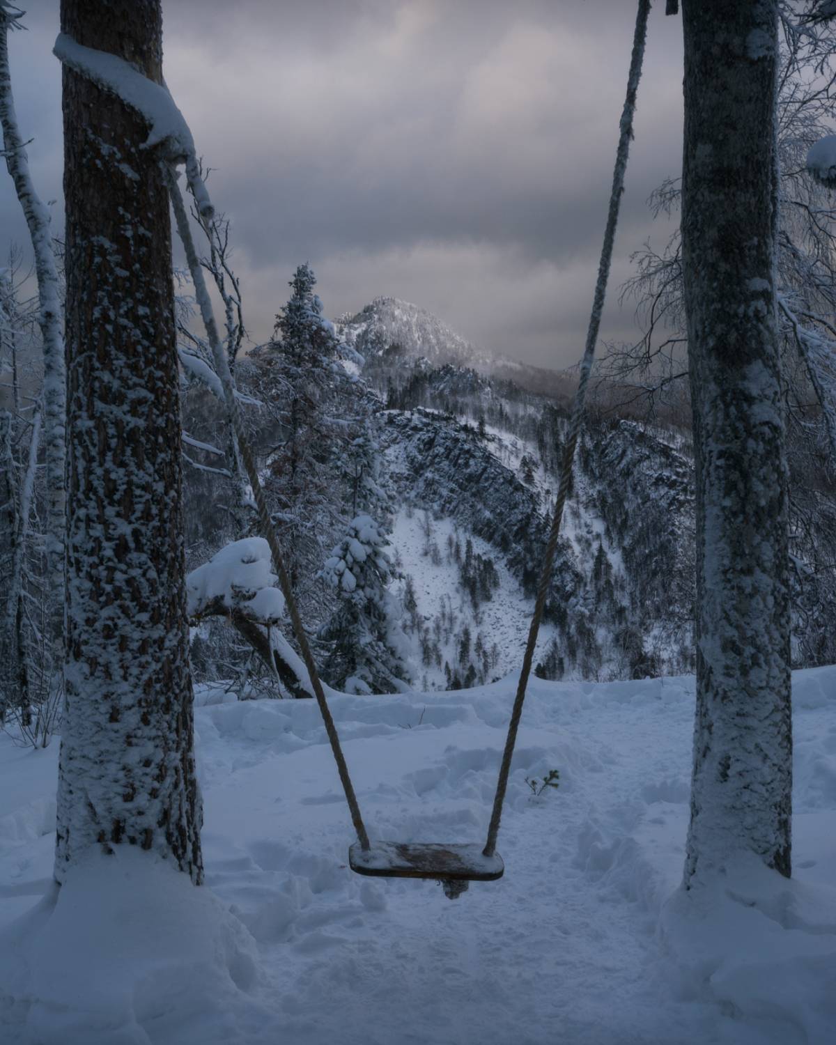 , Алексей Проняхин