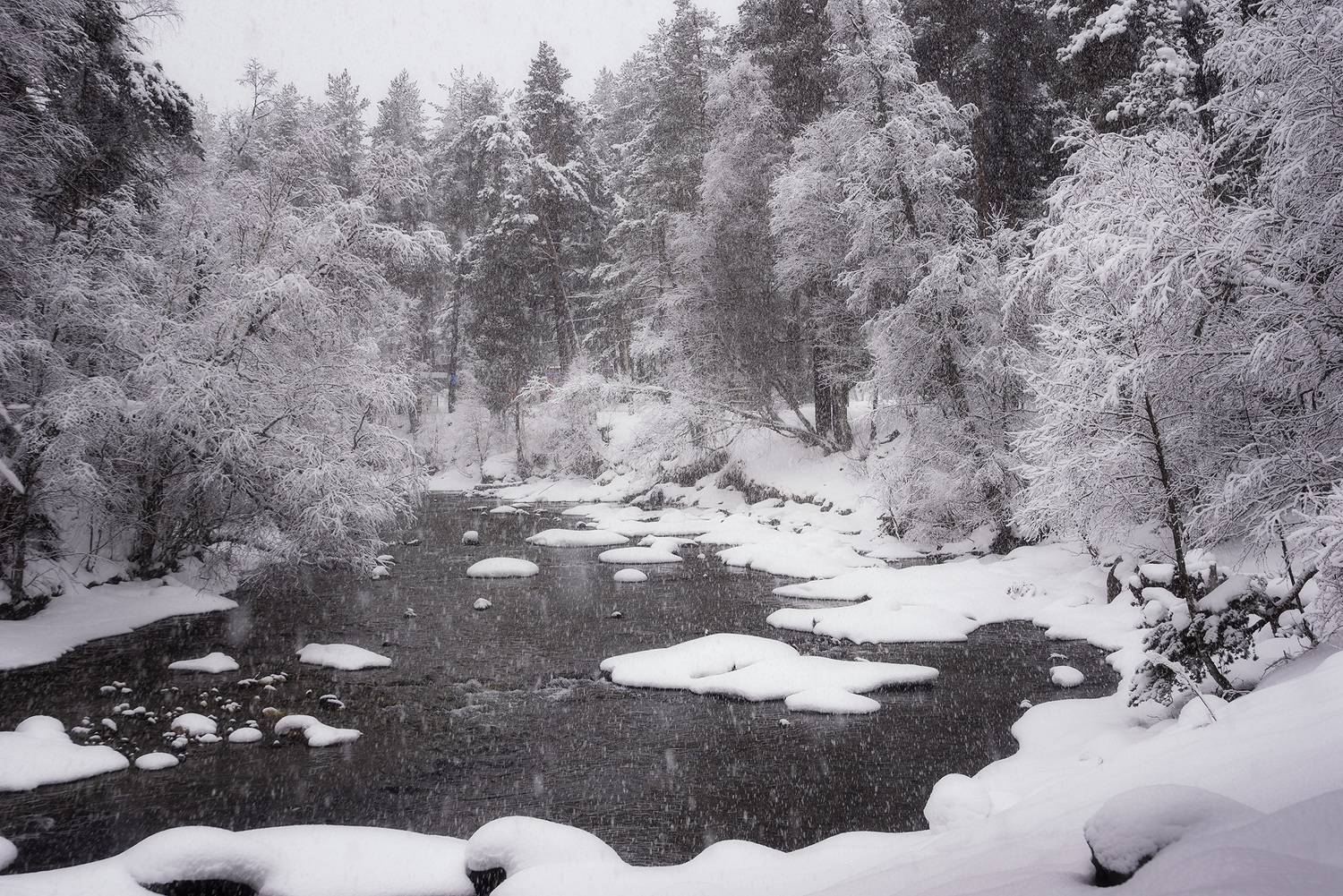 зима, горы, архыз, кавказский хребет, туман, Чавыкина Анастасия