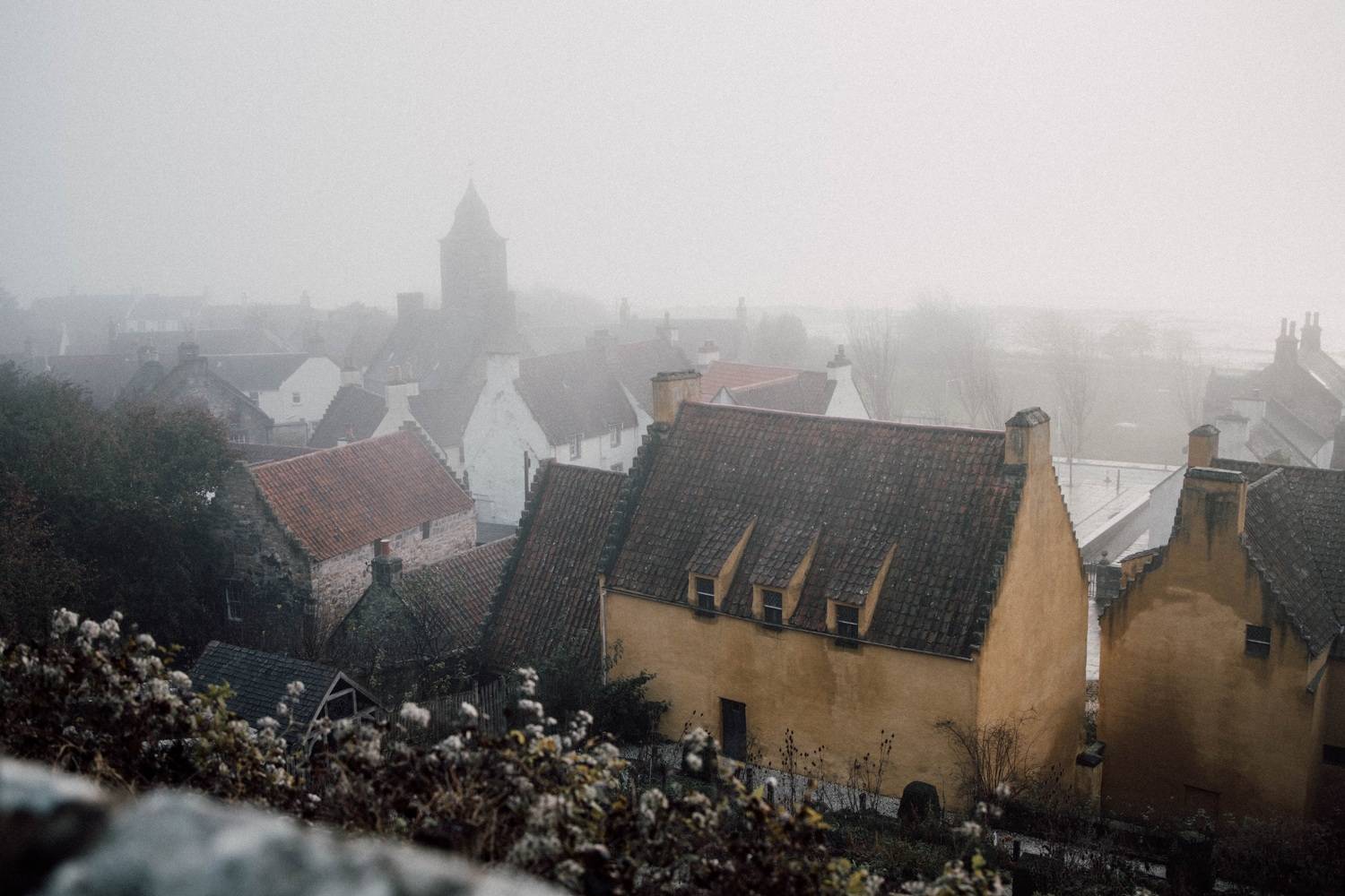 Туман , Алина Шаровская-Константинова