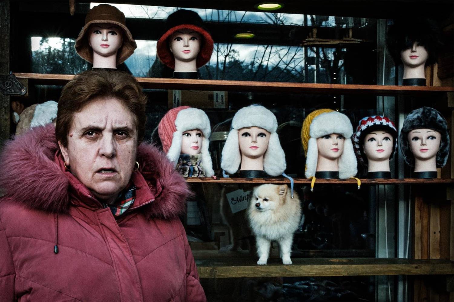 собакя, dog, Denis Buchel (Денис Бучель)